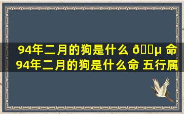 94年二月的狗是什么 🐵 命（94年二月的狗是什么命 五行属什么）